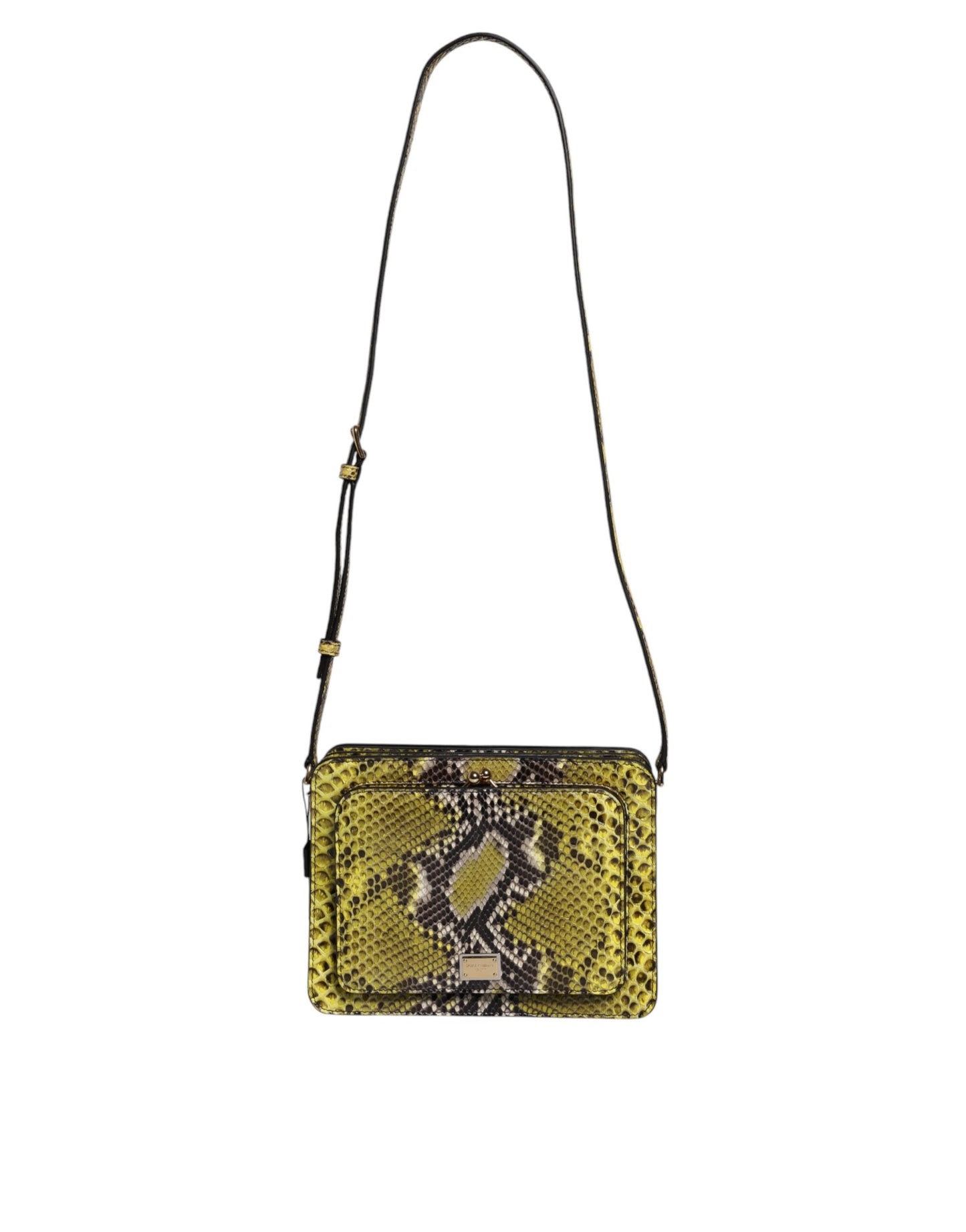 Pochette bandoulière en cuir exotique vert Dolce & Gabbana DG Plaque