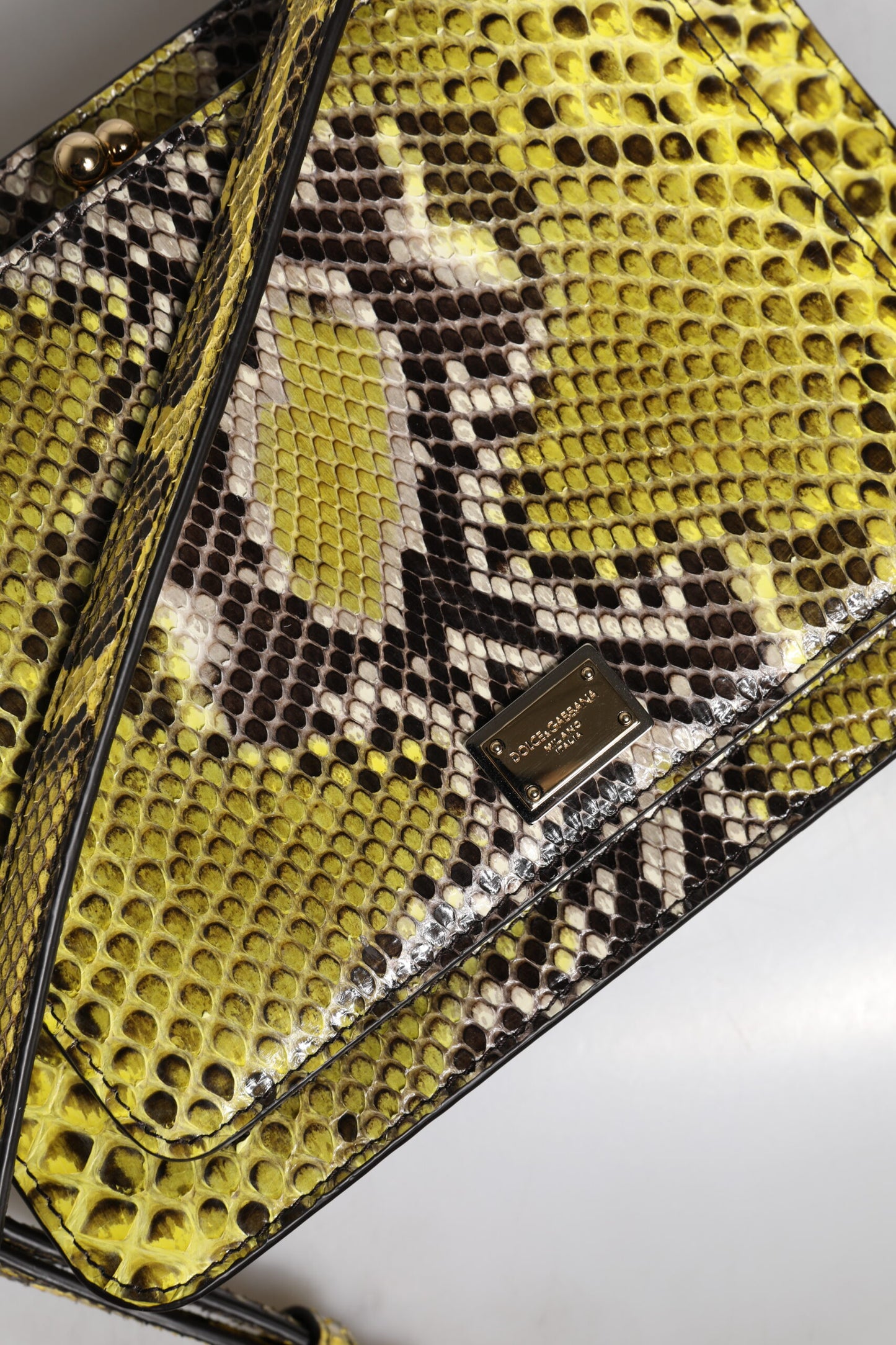 Pochette bandoulière en cuir exotique vert Dolce & Gabbana DG Plaque