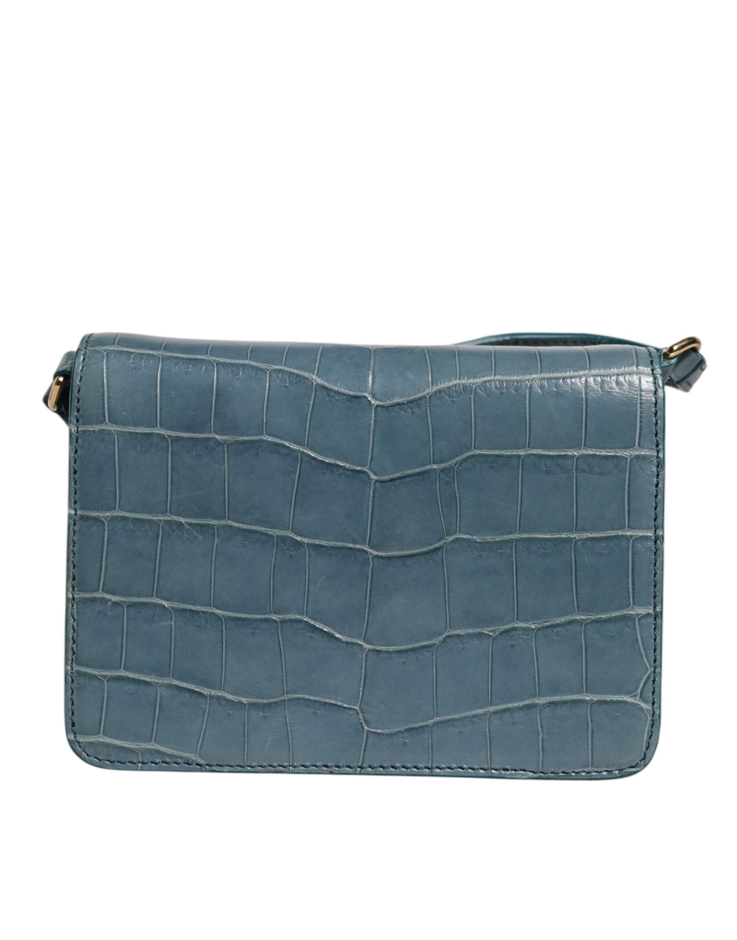 Mini sac bandoulière Dolce & Gabbana en cuir exotique vert DG Plaque