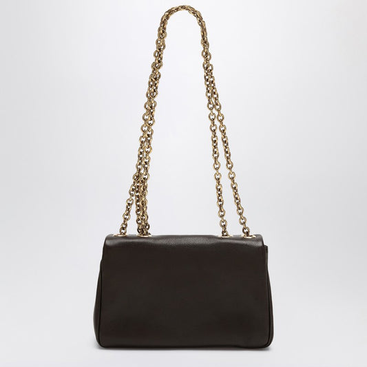 Small Chloé Heritage Bag In Brown